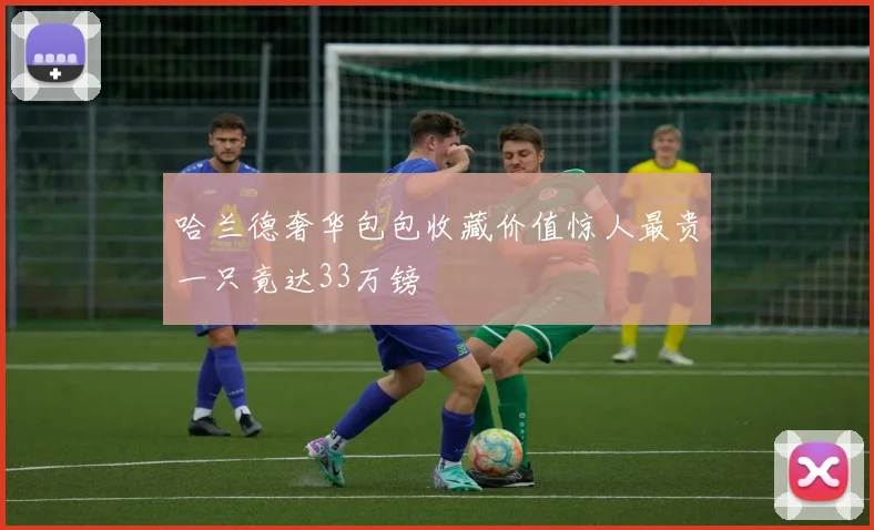哈兰德奢华包包收藏价值惊人最贵一只竟达33万镑