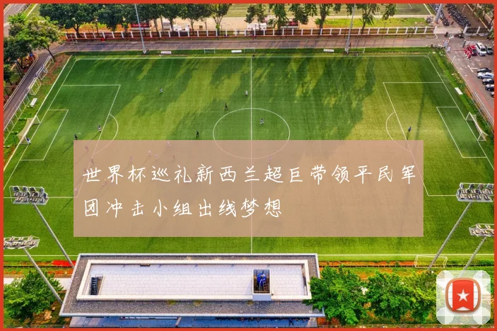 世界杯巡礼新西兰超巨带领平民军团冲击小组出线梦想